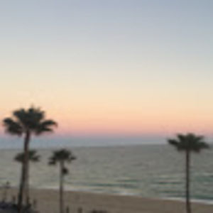 Meet your Posher, Jennie